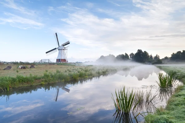 Nederlandse windmill door rivier in ochtend — Stockfoto