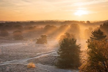 Hollanda, Limburg üzerinde güzel altın sisli gün doğumu