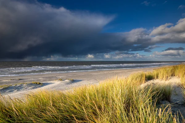 Uitzicht Zonnig Strand Vanuit Duinen Zeeland Nederland — Stockfoto