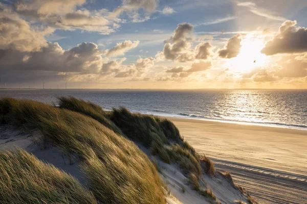 Pohled Pláž Severního Moře Duny Při Západu Slunce Nizozemsko — Stock fotografie