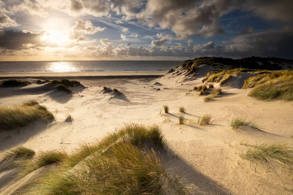 Gyllene Ljus Över Sanddyner Till Havs Holland — Stockfoto