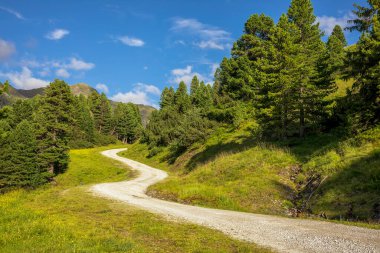 Yeşil alp ormanlarında ve mavi gökyüzünde yol