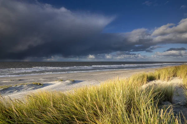 Vue Sur Plage Ensoleillée Depuis Les Dunes Zélande Pays Bas — Photo