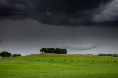 Hollanda kırsalında yağmur ve sağanak