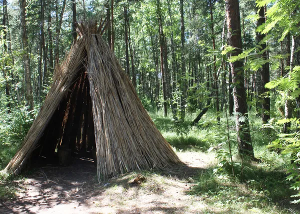 Tenda na floresta — Fotografia de Stock