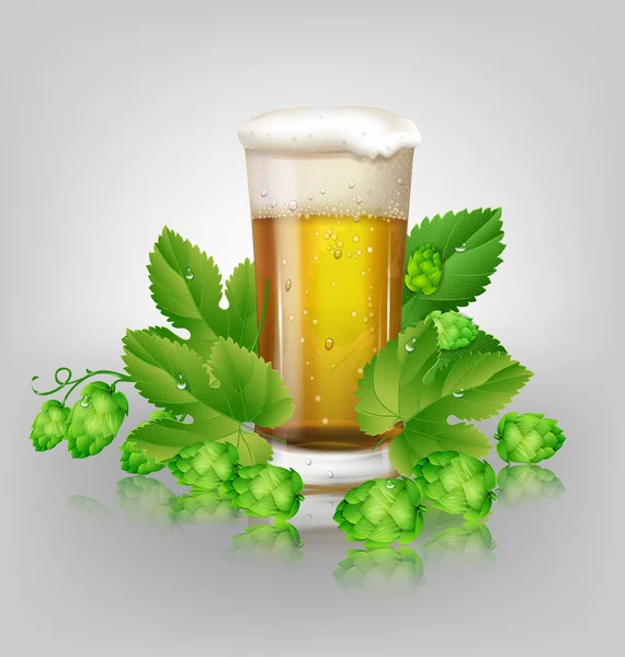 Verre de bière et houblon — Image vectorielle