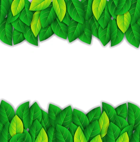 Háttér, fényes zöld levelek — Stock Vector