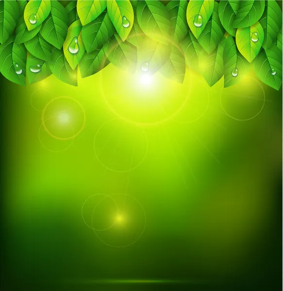 Green leaves — Stock Vector