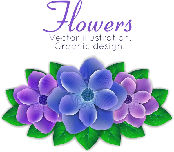 Blue and purple flowers with leaves — Stock Vector