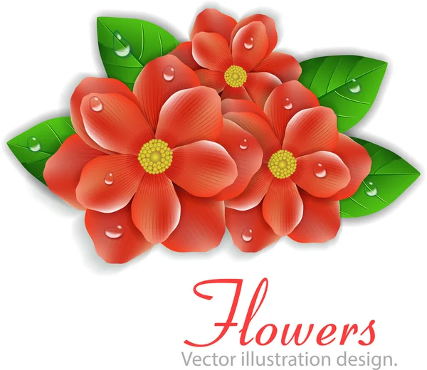 Rote Blüten — Stockvektor