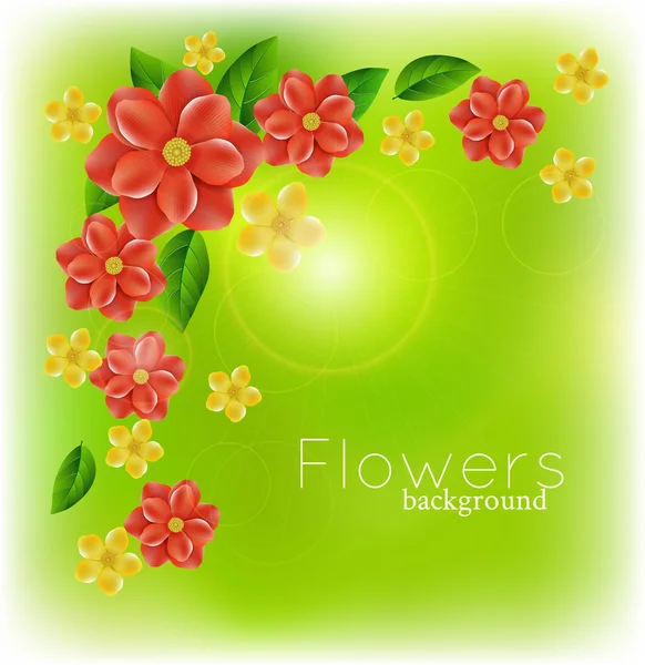 Vector background with realistic flowers — Stock Vector