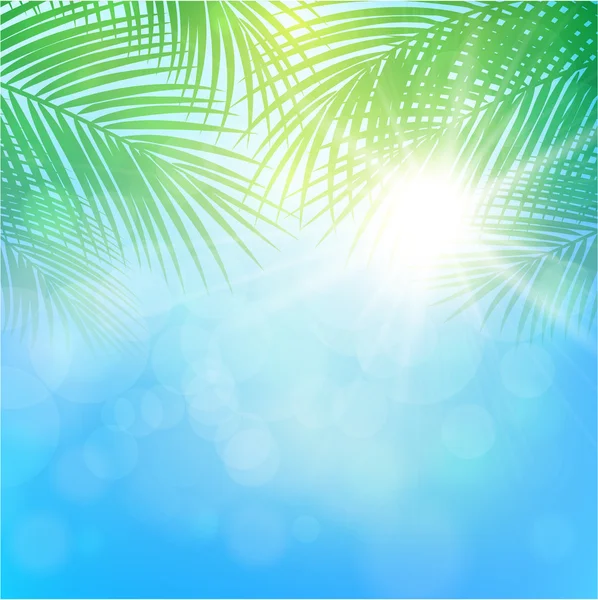 Background with palm branches — Stock Vector