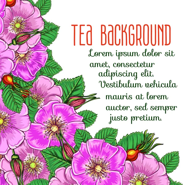 Tea background — Stock Vector