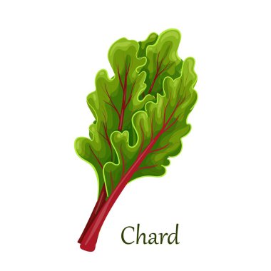 Chard yaprakları, yeşil yapraklı.