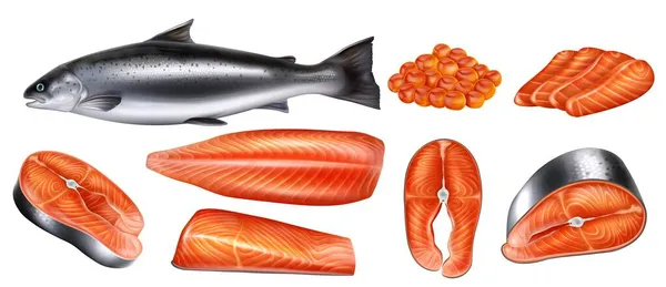 Conjunto de salmón crudo — Vector de stock