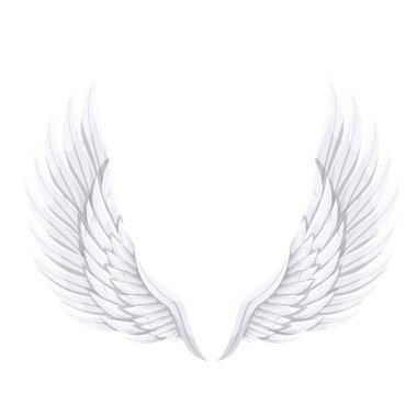 Beyaz kuş ya da melek kanatları