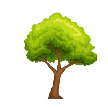 Yeşil yaprak döken ağaç