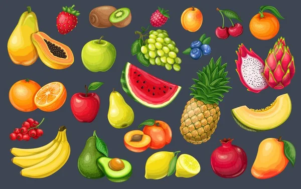 Vruchten en bessen — Stockvector