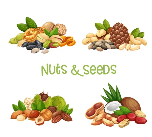Banderas de frutos secos, semillas y granos — Vector de stock