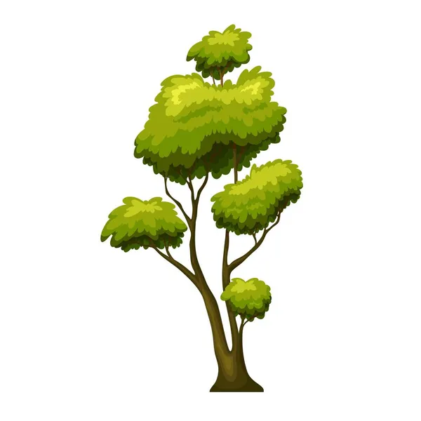 Árvore caduca verde — Vetor de Stock