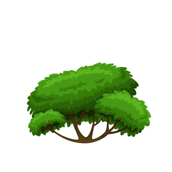 Зеленое лиственное дерево или куст — стоковый вектор