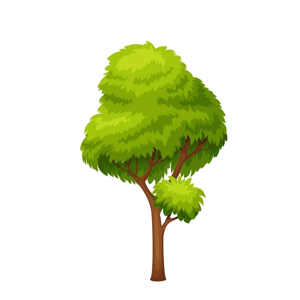 Зеленое лиственное дерево — стоковый вектор