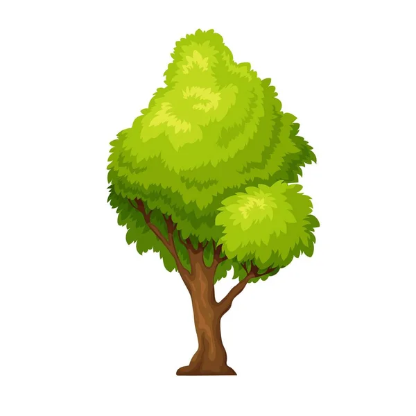 Groene loofboom — Stockvector