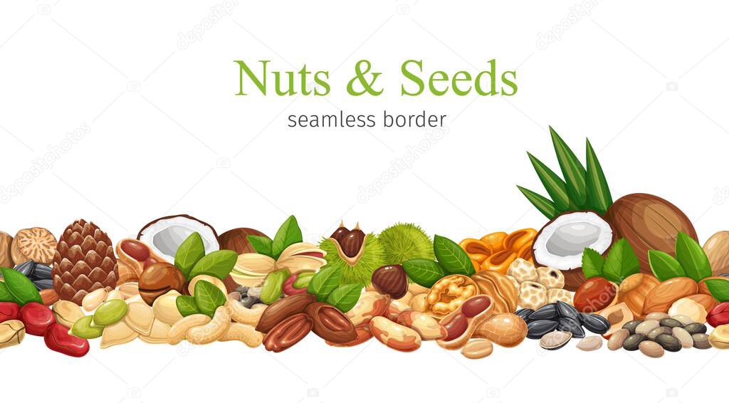 Nuts, seeds and grains seamless pattern border frame vector illustration. Macadamia, almond, corn nuts, nutmeg, cashew, coconut and chestnuts. Sunflower seeds, pistachio, hazelnut and ets
