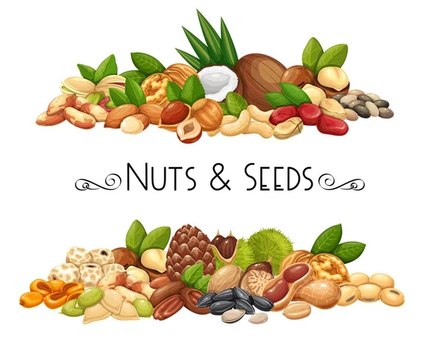 Banderas de frutos secos, semillas y granos — Vector de stock