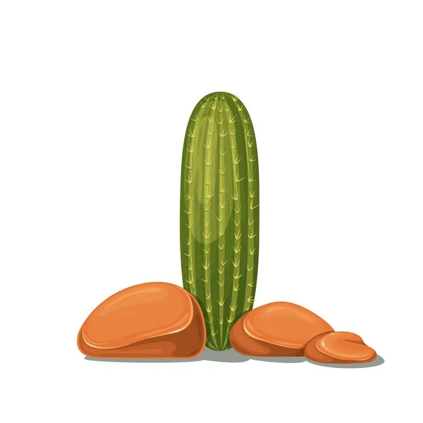 Piedra con cactus, rocas — Vector de stock
