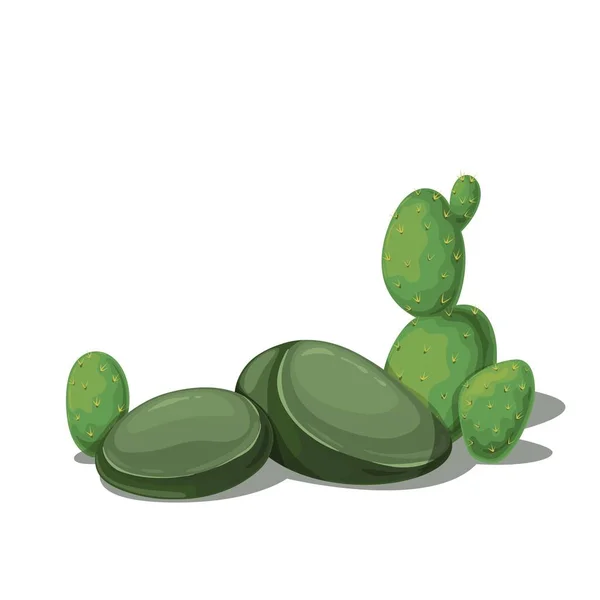 Piedra con cactus, rocas — Vector de stock