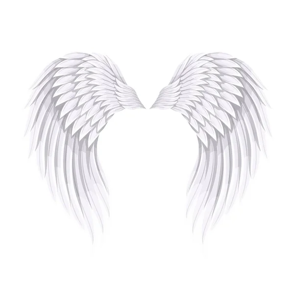 White Bird or Angel Wings — Stock Vector