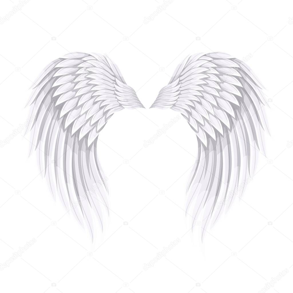 White Bird or Angel Wings