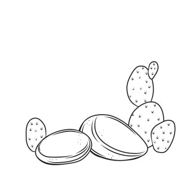 Kaktüslü ana hatlı taş.