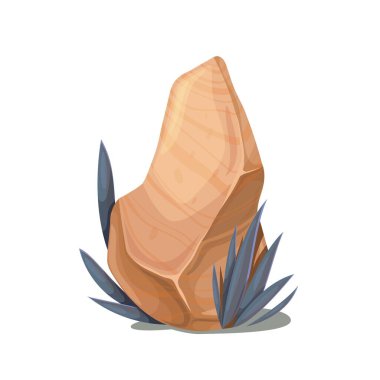 Taş, kaya ve çöl bitkisi