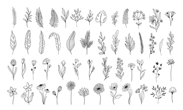 线条艺术花卉元素 — 图库矢量图片