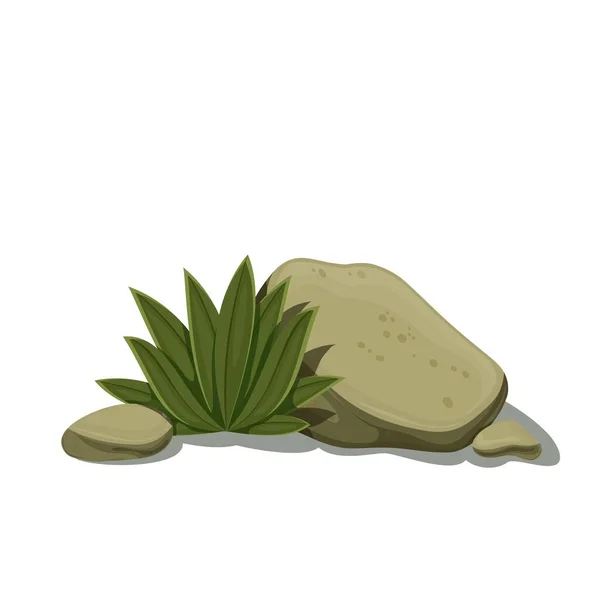 Piedra, rocas y plantas desérticas — Vector de stock