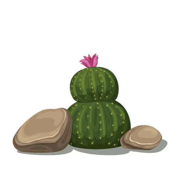 Piedra con cactus, rocas — Vector de stock