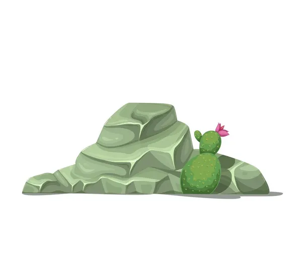 Kámen s kaktusem, balvany — Stockový vektor