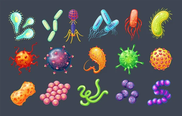 細菌およびウイルス — ストックベクタ