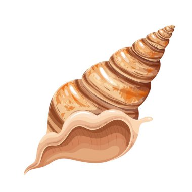 Deniz kabuğu simgesi, sualtı teması