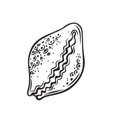 el çekilmiş deniz kabuğu