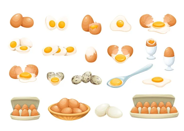 Ovos frescos e cozidos — Vetor de Stock