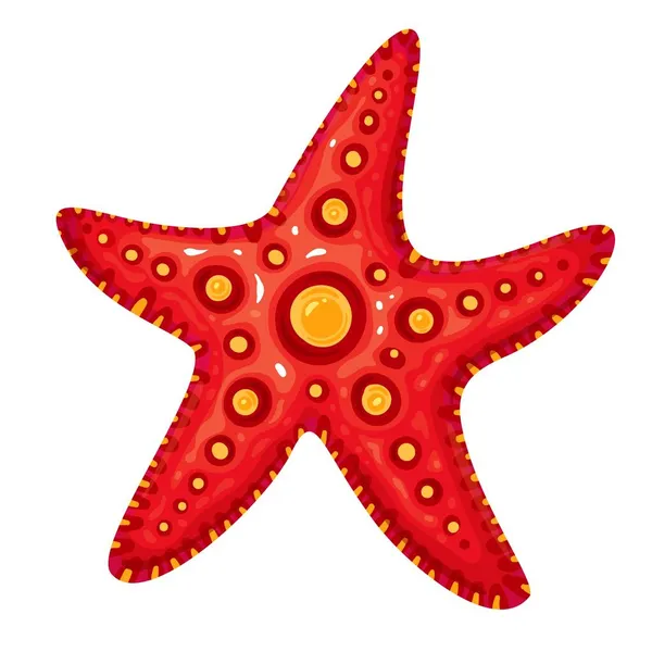 Ερυθρός αστερίας ή αστερίας της θάλασσας — Διανυσματικό Αρχείο