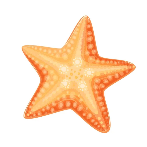Estrella de mar o estrella de mar — Vector de stock