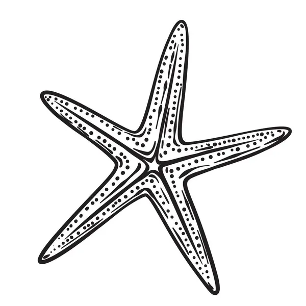 Estrela do mar ou estrela do mar desenhada à mão — Vetor de Stock