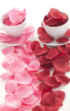 kahve fincanı ve gül yaprakları