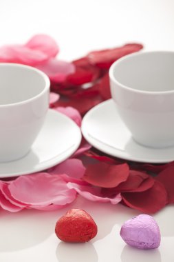 Sevgililer günü hediyesi