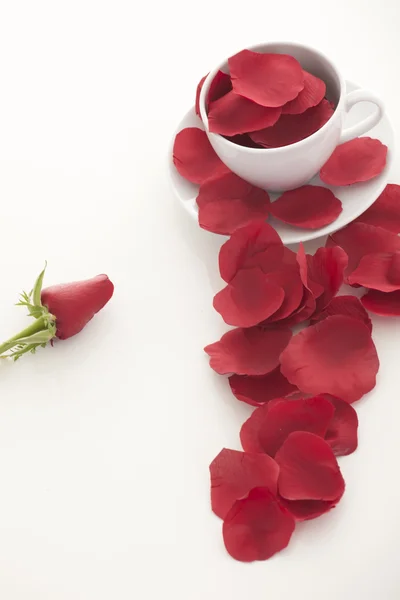 Tazza di caffè e petali di rosa — Foto Stock