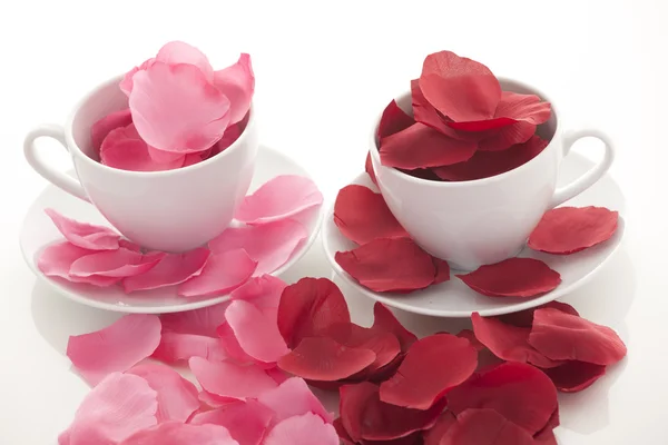 Kaffeetasse und Rosenblätter — Stockfoto